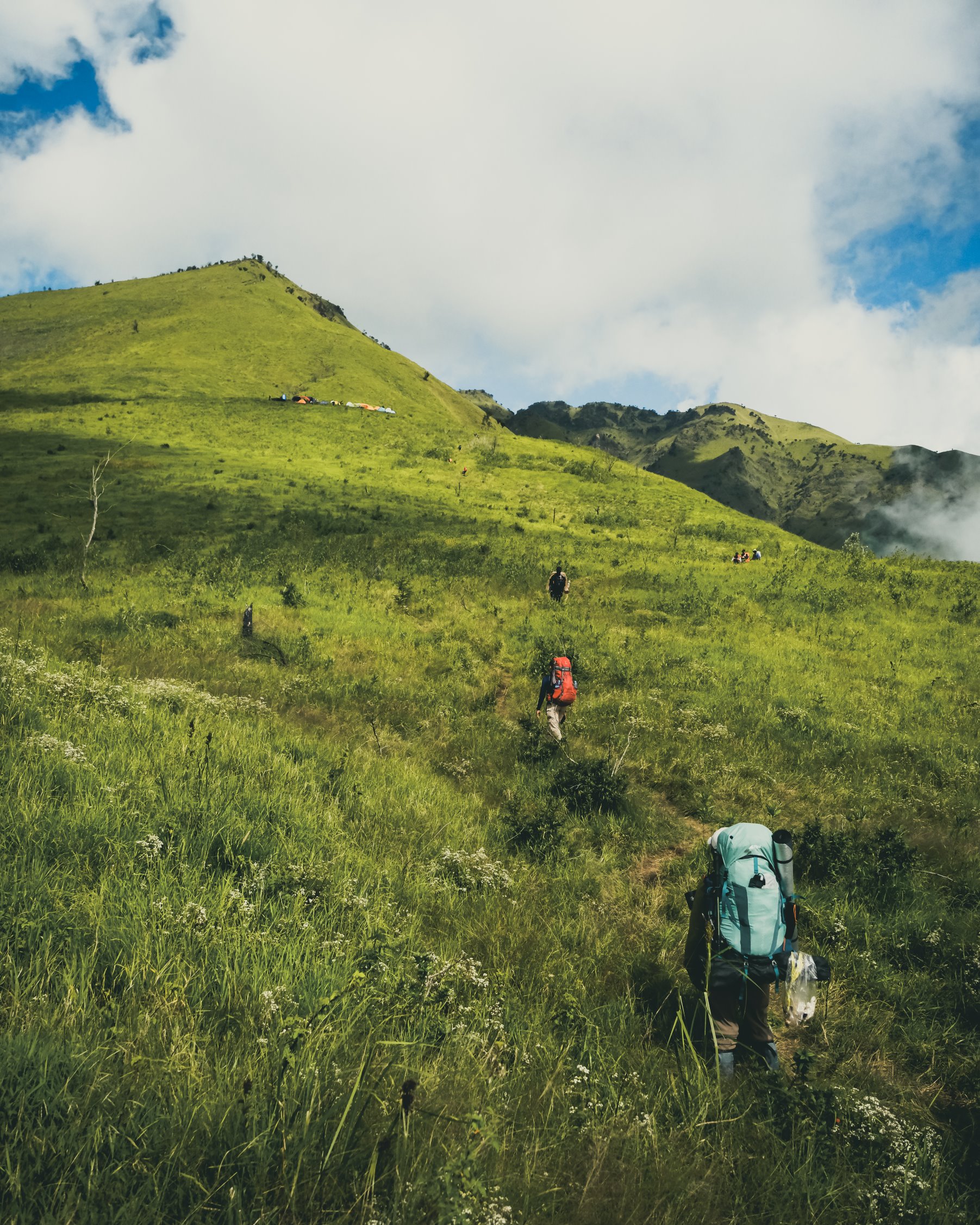 Mount Merbabu Summit: Hike & Hot Springs
