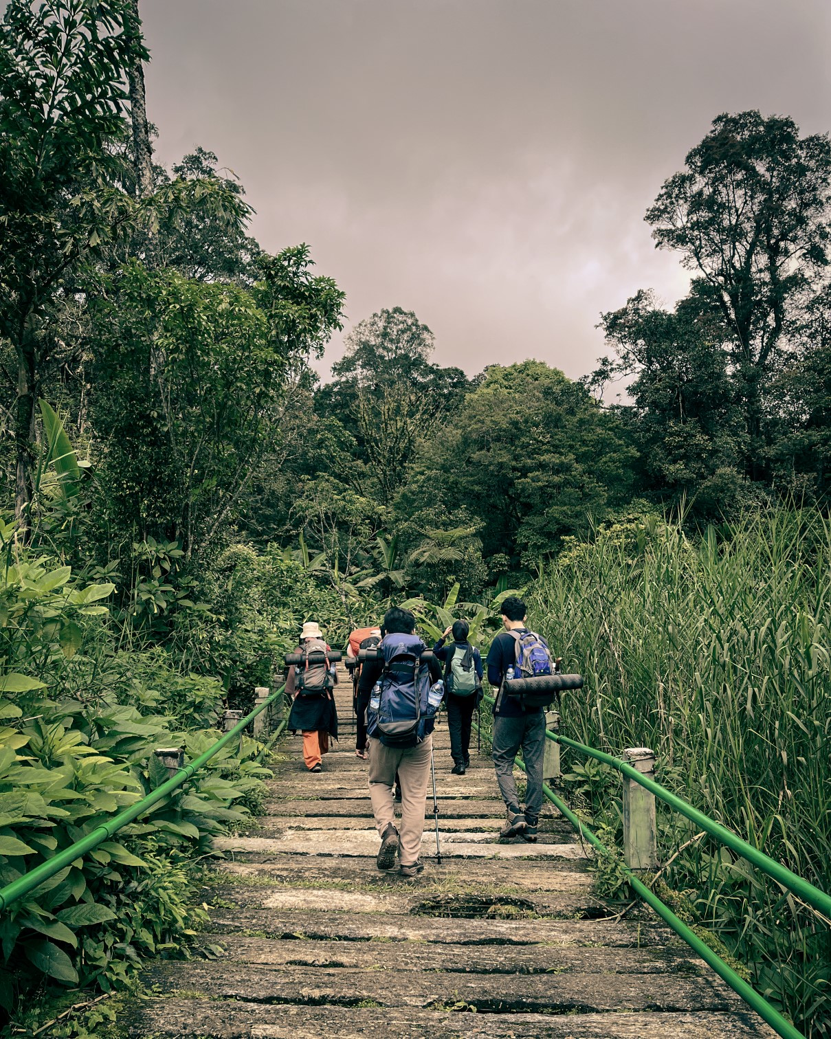 Mount Gede Trek: The Majestic Highland Journey gallery 2