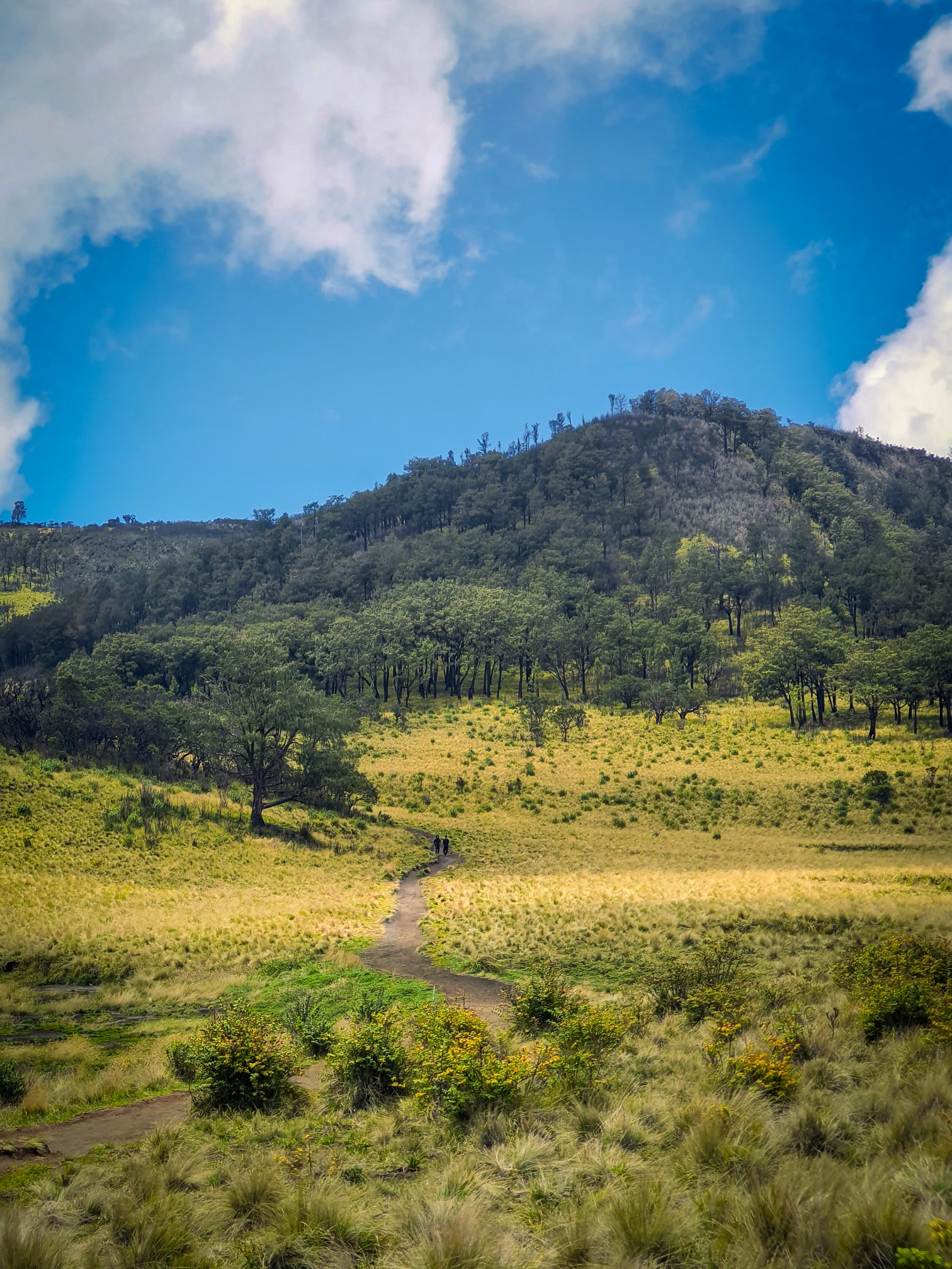 Mount Lawu Sacred Trek: Toward the Vast Savannah